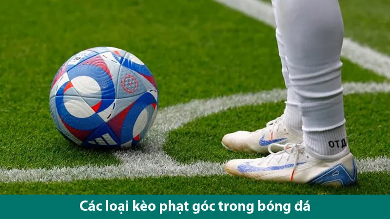 Tổng hợp các loại kèo phạt góc trong cá độ bóng đá 2025 2 Tổng hợp các loại kèo phạt góc trong cá độ bóng đá